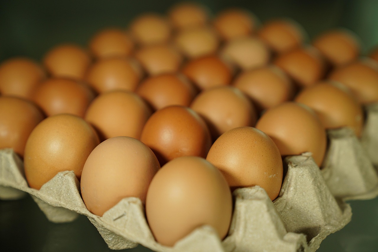eggs, egg shells, tray, food, catering, ingredients